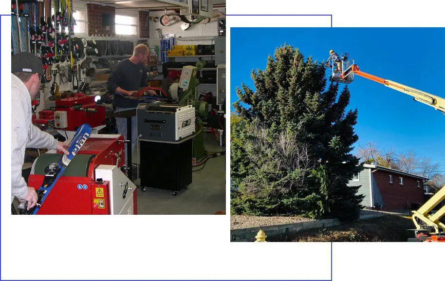 A man working in an office and a tree